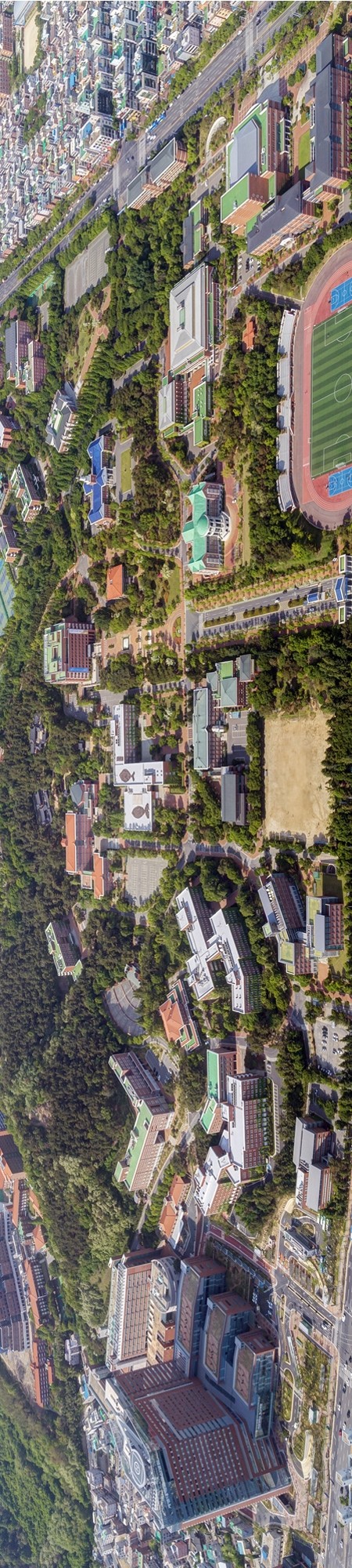 启明大学鸟瞰图.jpg